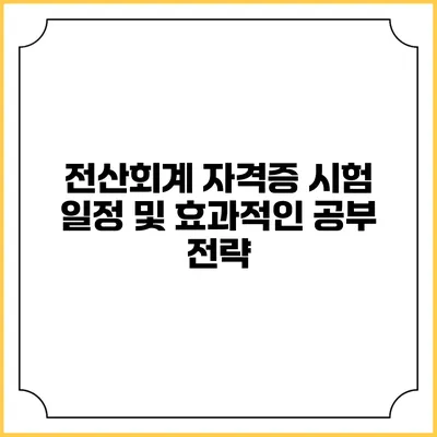 전산회계 자격증 시험 일정 및 효과적인 공부 전략