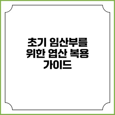 초기 임산부를 위한 엽산 복용 가이드