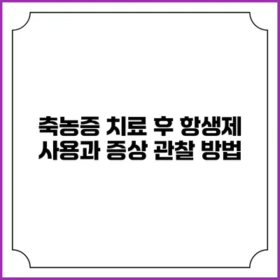 축농증 치료 후 항생제 사용과 증상 관찰 방법