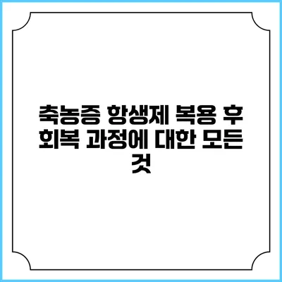 축농증 항생제 복용 후 회복 과정에 대한 모든 것
