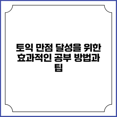 토익 만점 달성을 위한 효과적인 공부 방법과 팁