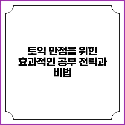 토익 만점을 위한 효과적인 공부 전략과 비법