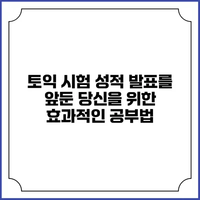 토익 시험 성적 발표를 앞둔 당신을 위한 효과적인 공부법