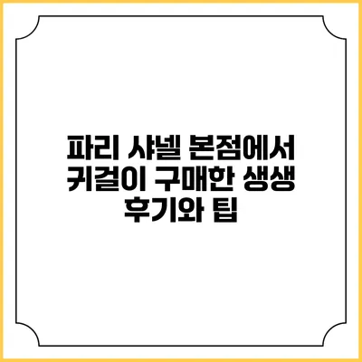 파리 샤넬 본점에서 귀걸이 구매한 생생 후기와 팁