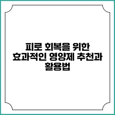 피로 회복을 위한 효과적인 영양제 추천과 활용법