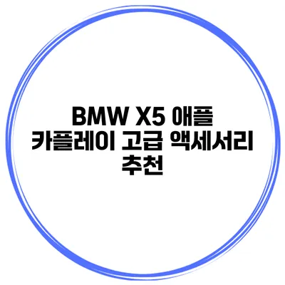 BMW X5 애플 카플레이 고급 액세서리 추천