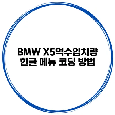 BMW X5역수입차량 한글 메뉴 코딩 방법