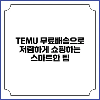 TEMU 무료배송으로 저렴하게 쇼핑하는 스마트한 팁