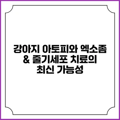 강아지 아토피와 엑소좀 & 줄기세포 치료의 최신 가능성