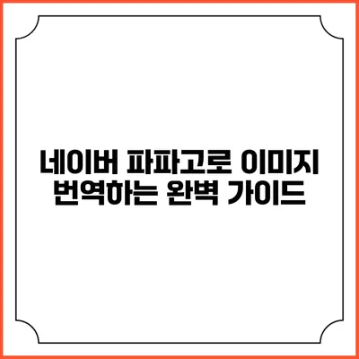 네이버 파파고로 이미지 번역하는 완벽 가이드