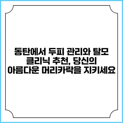 동탄에서 두피 관리와 탈모 클리닉 추천, 당신의 아름다운 머리카락을 지키세요