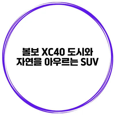볼보 XC40 도시와 자연을 아우르는 SUV