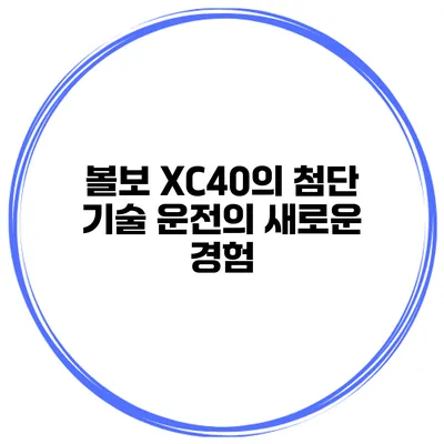 볼보 XC40의 첨단 기술 운전의 새로운 경험