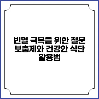 빈혈 극복을 위한 철분 보충제와 건강한 식단 활용법