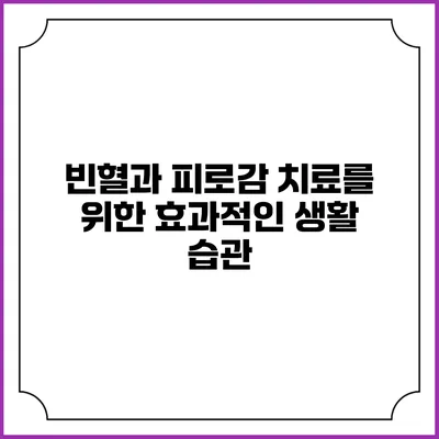빈혈과 피로감 치료를 위한 효과적인 생활 습관
