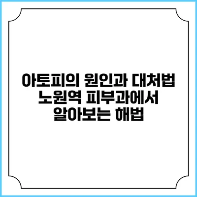 아토피의 원인과 대처법: 노원역 피부과에서 알아보는 해법