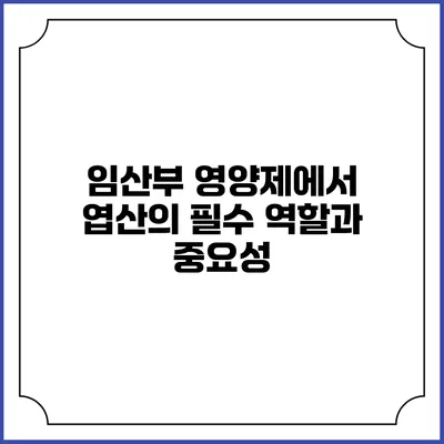 임산부 영양제에서 엽산의 필수 역할과 중요성