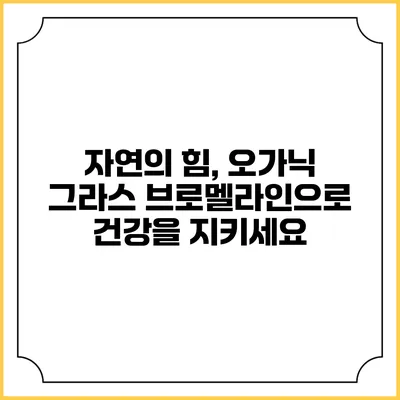 자연의 힘, 오가닉 그라스 브로멜라인으로 건강을 지키세요