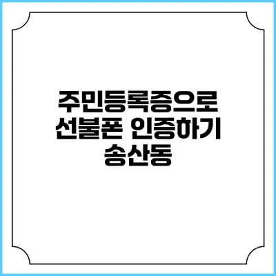 주민등록증으로 선불폰 인증하기: 송산동
