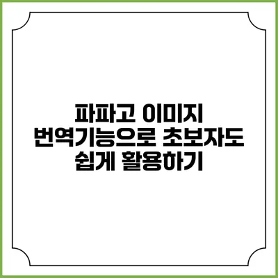 파파고 이미지 번역기능으로 초보자도 쉽게 활용하기