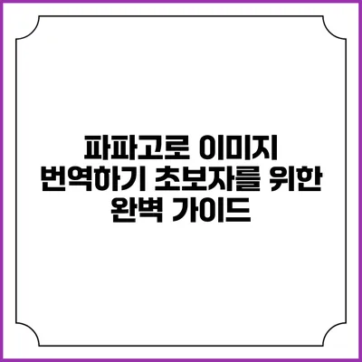 파파고로 이미지 번역하기: 초보자를 위한 완벽 가이드