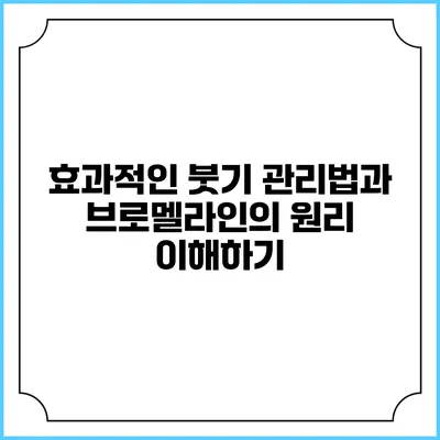 효과적인 붓기 관리법과 브로멜라인의 원리 이해하기